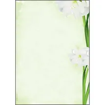 Sigel Motivpapier A4 90 g/m2 25 Blatt