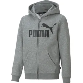 Puma 586967_03_116 Sportpullover/-Hoodie