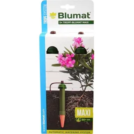 Stocker Tropf-Blumat Maxi SB-Packung 2 St.