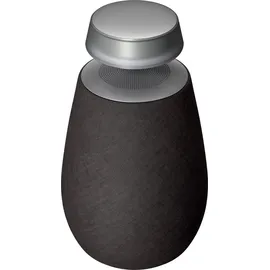 LG XBOOM Go DXO2 schwarz