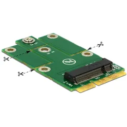 Delock Adapter MiniPCIe > M.2 NGFF - Speicher-Controller