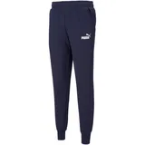 Puma Herren Essential Logo Pants FL cl blau