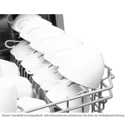 Amica EGSPV 587 921 Einbau-Geschirrspüler (vollintegrierbar, 448 mm breit)