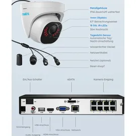 Reolink Überwachungskamera Set Outdoor, 4X 8MP PoE Dome Überwachungskamera+8CH 2TB HDD nvr, Personen-/Fahrzeugerkennung, 30m Nachtsicht, 24/7