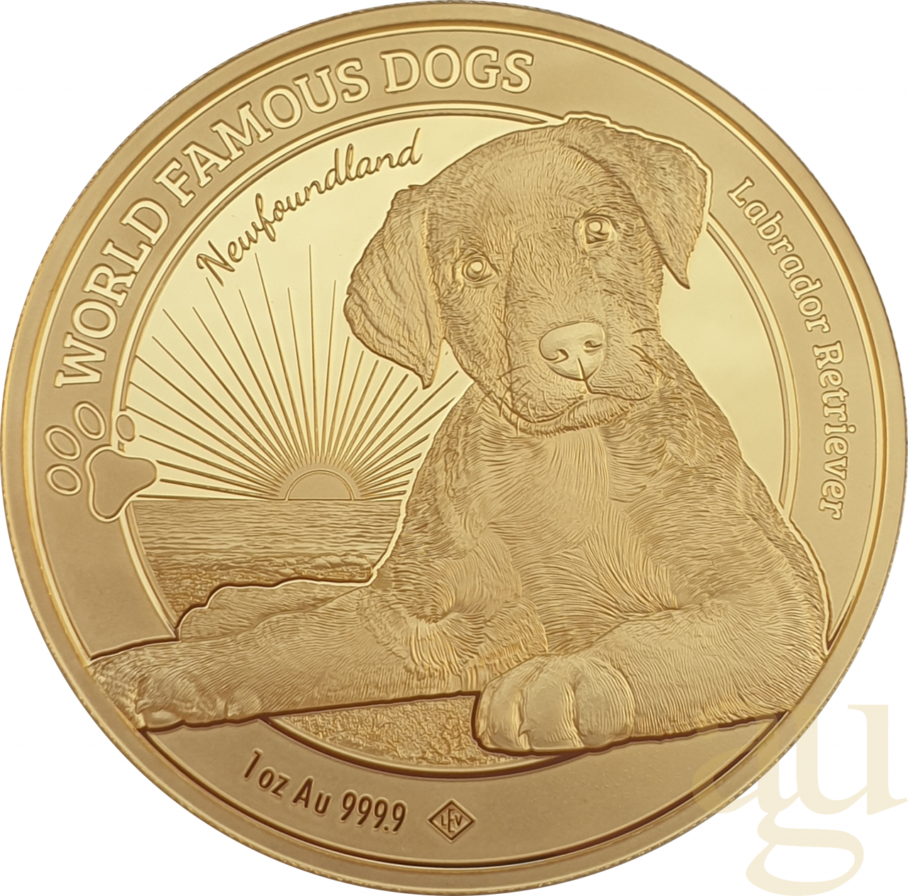 1 Unze Goldmünze World Famous Dogs - Labrador 2023