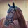 Catago Fliegenhaube FIR-Tech Healing schwarz Cob/Vollblut