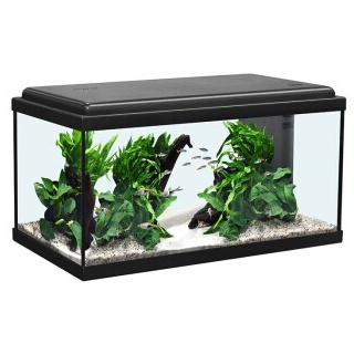 Aquatlantis Advance LED schwarz