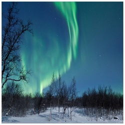 Wallario Möbelfolie Polarlicht in Schweden grün 60 cm x 60 cm