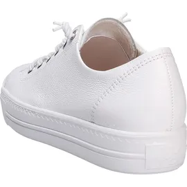 Paul Green 4081 white 37