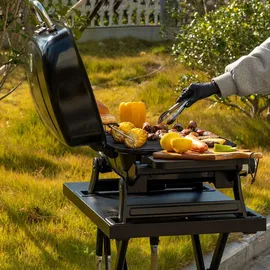 Royal Gourmet Tragbarer 2-Brenner Gasgrill schwarz