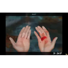 Enigmatis - Vermisst in Maple Creek