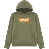 Levi's Kids Lvb BATWING screenprint hoodie in Khaki - 116