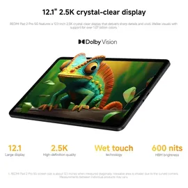 Xiaomi Redmi Pad 2 Pro 8 GB RAM 256 GB Graphite Gray