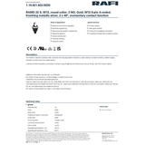 RAFI 1.10.021.022/0220 RAMO 22 Schlüsselschalter 32V 0.1A tastend (L x B x H) 29.8 x 29.8 x 53.9mm