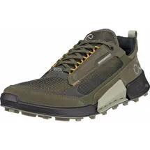 ECCO BIOM 2.1 X Mountain