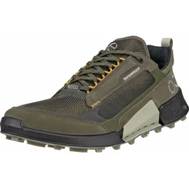 ECCO BIOM 2.1 X Mountain