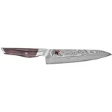 MIYABI Iki Gyutoh 20 cm