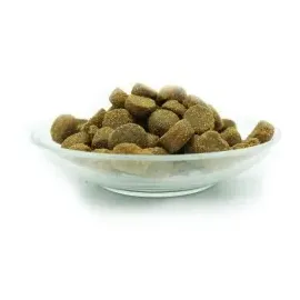 Bellfor Premium PUR Aktiv 2,5 kg
