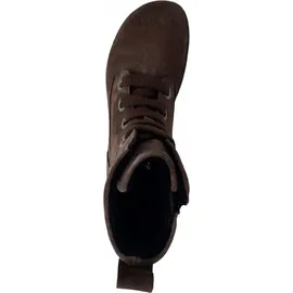 Groundies Stiefelette Herren Braun 40