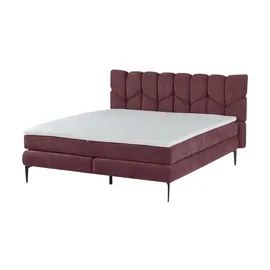 Switch Boxspringbett Bari ¦ ¦ Maße (cm): B: H: 110