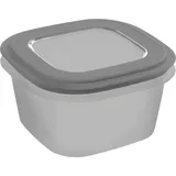 SUNWARE Aufbewahrungsbox Sigma Home 3,8 L 4-tlg. grau