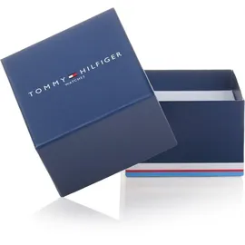 Tommy Hilfiger Luke Edelstahl 36 mm TH1791121