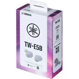 Yamaha TW-E5B grey