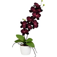 Kunstpflanze Kunstpflanze Orchidee grün|lila