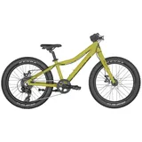 Scott Roxter 20 Junior Mountainbike green