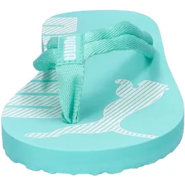 Puma Zehentrenner Epic Flip v2 Flipflop, Aquatic White, 43 EU