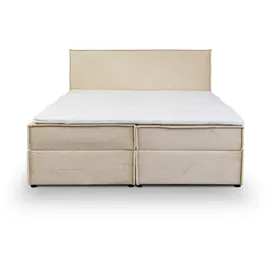 venasi Gloria 180 x 200 cm H2 Beige/Grau