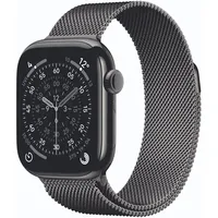 Apple Watch Series 11 GPS + Cellular 42mm Slate