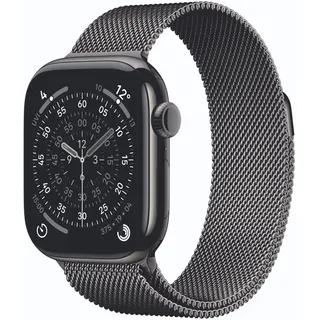 GPS + Cellular 42mm Slate Titanium Milanese Loop slate S/M