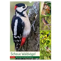 Calvendo Scheue Waldvögel (Wandkalender 2026 DIN A3 hoch), CALVENDO