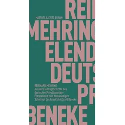 Aus der Elendsgeschichte des deutschen Privatdozenten: Prosastücke zum denkwürdigen Schicksal des Friedrich Eduard Benek