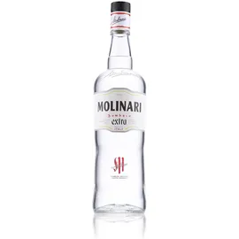 Molinari Extra 40% Vol. 1l