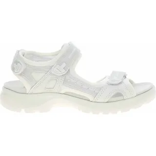 white 41