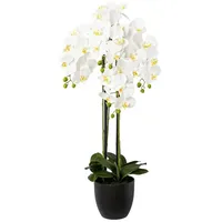 Kunstblume Orchidee Phalenopsis, weiß, in schwarzer Vase, Creativ green, Höhe 100 cm 100 cm