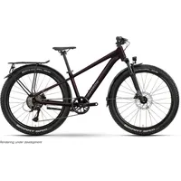 R Raymon Nayta 26 Pro Street 2026 26 Zoll RH 0 cm floridplum