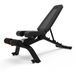 Bowflex Hantelbank 4.1S