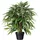 Creativ green künstliche Pflanze Weeping-Ficus, 80cm, im Kunststofftopf
