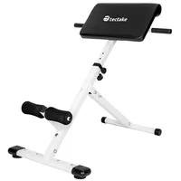 Tectake tectake® Hyperextension-Bank, Rückenstrecker und Bauchtrainer, 5-fach verstellbar, klappbar,