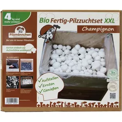 Bio Champignon-Pilzzuchtset