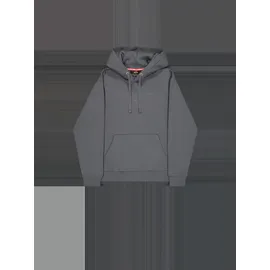 Alpha Industries DTM Alpha Hoodie grau  XL