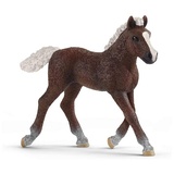 Schleich - Schwarzwälder Fohlen