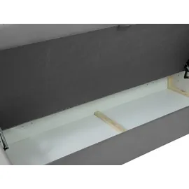 Mirjan24 Boxspringbett Rebos, Ehebett mit zwei Bettkästen, Doppelbett mit Topper (Polo 891, Größe: 180x200 cm) - Blau