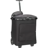 Reisenthel carrycruiser plus
