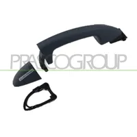 PRASCO Türgriff VG0548204