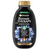 Garnier Botanic Therapy Aktivkohle und Schwarzkümmelöl Haarshampoo 400 ml