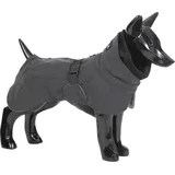 Paikka Visibility Hundemantel 20 cm Schwarz